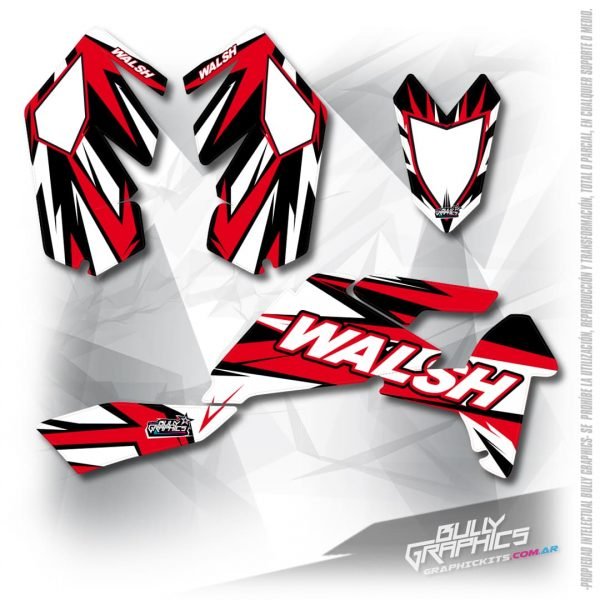 rave 6 LTR450 graphics
