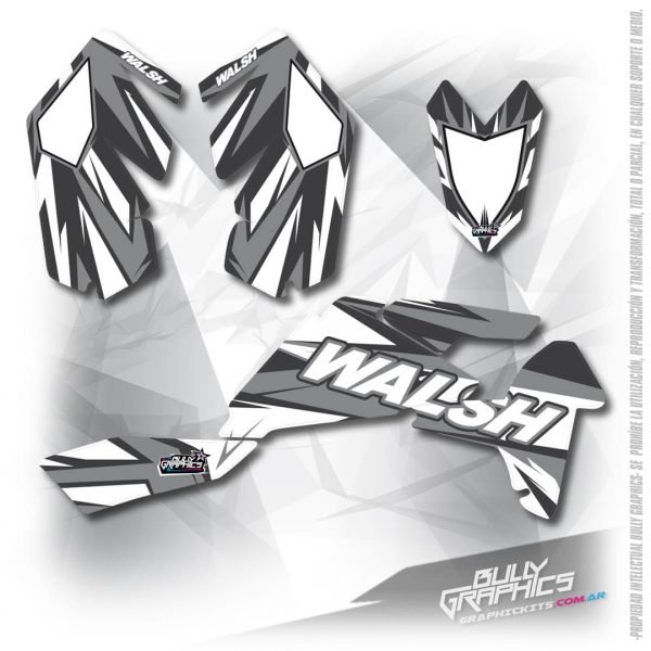 rave 9 LTR450 graphics