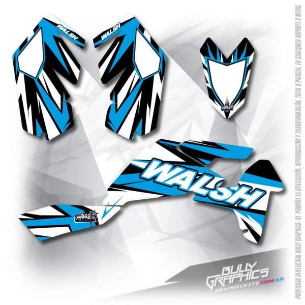 rave LTR450 graphics